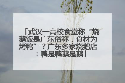 武汉一高校食堂称“烧鹅饭是广东俗称，食材为烤鸭”？广东多家烧鹅店：鸭是鸭鹅是鹅