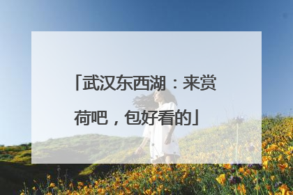 武汉东西湖：来赏荷吧，包好看的