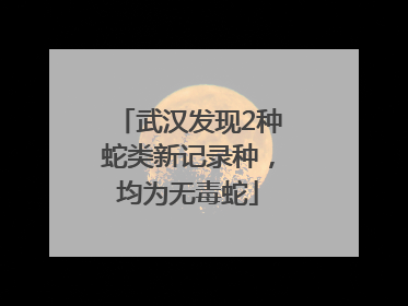 武汉发现2种蛇类新记录种，均为无毒蛇