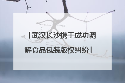 武汉长沙携手成功调解食品包装版权纠纷