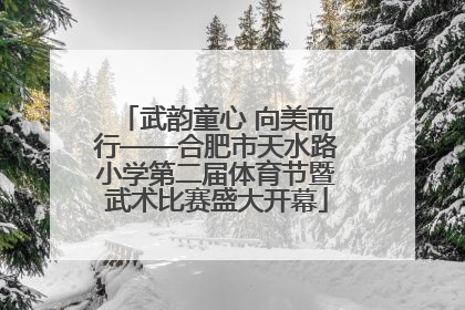 武韵童心 向美而行——合肥市天水路小学第二届体育节暨武术比赛盛大开幕