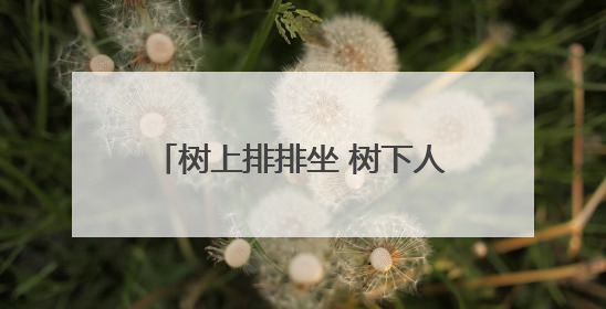 树上排排坐 树下人挤人！厦大校园来了一窝猫头鹰引围观
