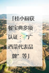 桂小厨获餐宝典多项认证：“广西菜代表品牌”等