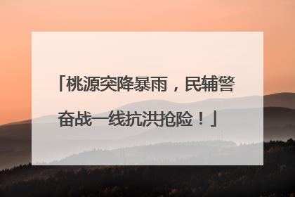 桃源突降暴雨，民辅警奋战一线抗洪抢险！