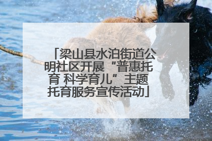 梁山县水泊街道公明社区开展“普惠托育 科学育儿”主题托育服务宣传活动