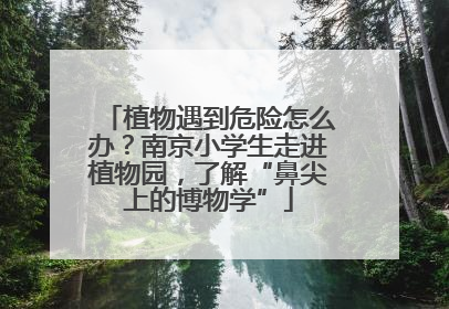 植物遇到危险怎么办？南京小学生走进植物园，了解“鼻尖上的博物学”