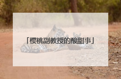 樱桃副教授的酸甜事