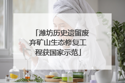 潍坊历史遗留废弃矿山生态修复工程获国家示范