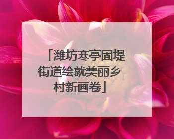 潍坊寒亭固堤街道绘就美丽乡村新画卷
