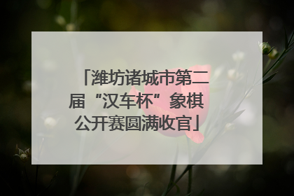 潍坊诸城市第二届“汉车杯”象棋公开赛圆满收官