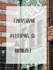 潍坊诸城：科技护航 金穗飘香