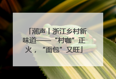 潮声丨浙江乡村新味道——“村咖”正火，“面包”又旺
