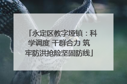永定区教字垭镇：科学调度 干群合力 筑牢防洪抢险坚固防线