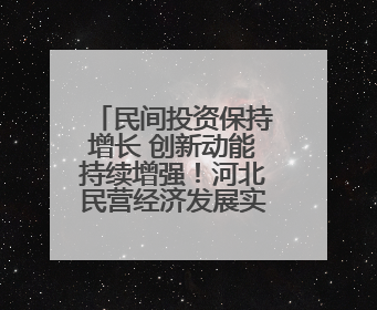 民间投资保持增长 创新动能持续增强！河北民营经济发展实现“量”“质”双提升