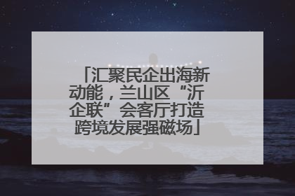 汇聚民企出海新动能，兰山区“沂企联”会客厅打造跨境发展强磁场