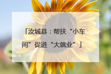 汝城县：帮扶“小车间”促进“大就业”