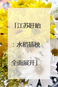 江苏盱眙：水稻插秧全面展开