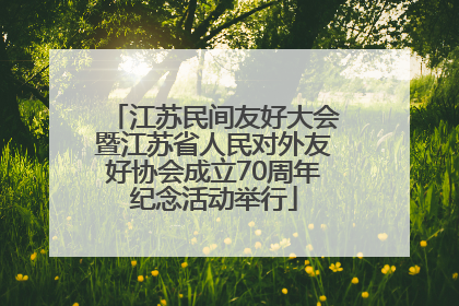 江苏民间友好大会暨江苏省人民对外友好协会成立70周年纪念活动举行