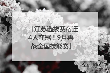 江苏选拔赛宿迁4人夺冠！9月再战全国技能赛