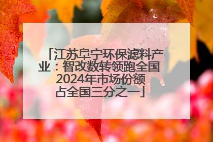 江苏阜宁环保滤料产业：智改数转领跑全国 2024年市场份额占全国三分之一