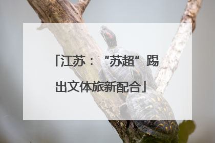 江苏：“苏超”踢出文体旅新配合