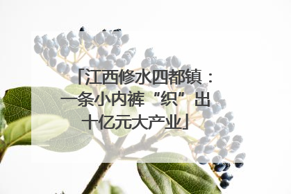 江西修水四都镇：一条小内裤“织”出十亿元大产业
