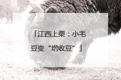 江西上栗：小毛豆变“增收豆”