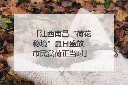 江西南昌“荷花秘境”夏日盛放 市民赏荷正当时