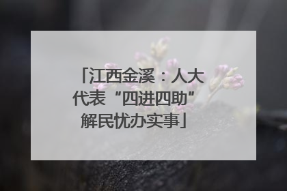 江西金溪：人大代表“四进四助”解民忧办实事