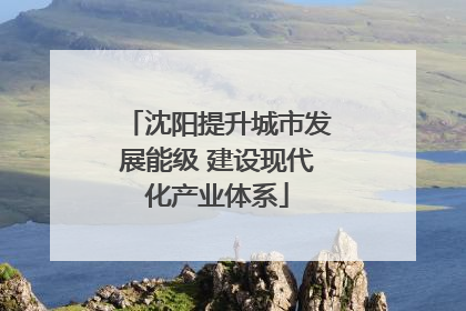 沈阳提升城市发展能级 建设现代化产业体系