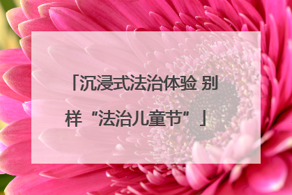 沉浸式法治体验 别样“法治儿童节”