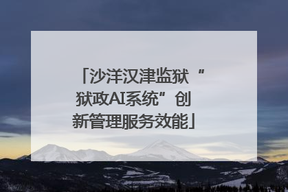 沙洋汉津监狱“狱政AI系统”创新管理服务效能