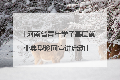 河南省青年学子基层就业典型巡回宣讲启动