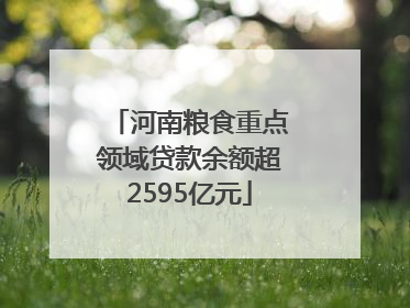 河南粮食重点领域贷款余额超2595亿元