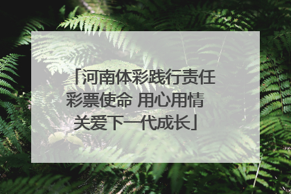 河南体彩践行责任彩票使命 用心用情关爱下一代成长