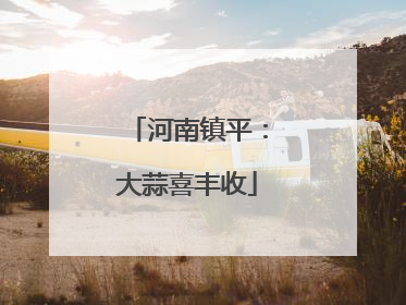 河南镇平：大蒜喜丰收