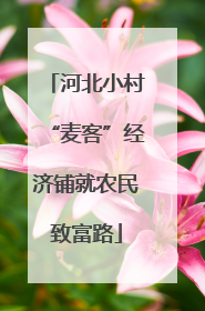 河北小村“麦客”经济铺就农民致富路