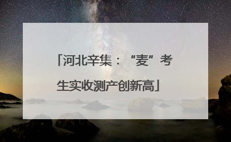 河北辛集：“麦”考生实收测产创新高