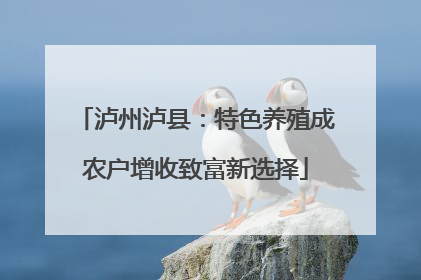 泸州泸县：特色养殖成农户增收致富新选择