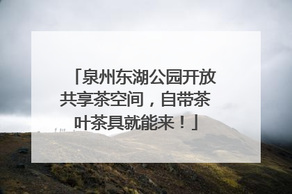 泉州东湖公园开放共享茶空间，自带茶叶茶具就能来！
