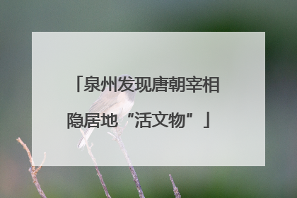 泉州发现唐朝宰相隐居地“活文物”