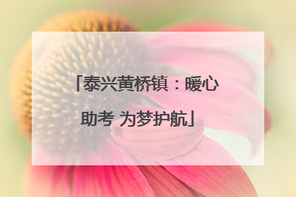 泰兴黄桥镇：暖心助考 为梦护航