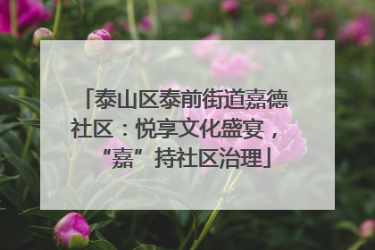 泰山区泰前街道嘉德社区：悦享文化盛宴，“嘉”持社区治理