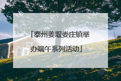 泰州姜堰娄庄镇举办端午系列活动