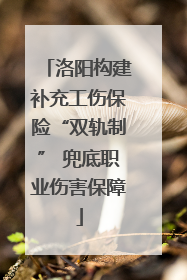 洛阳构建补充工伤保险“双轨制” 兜底职业伤害保障