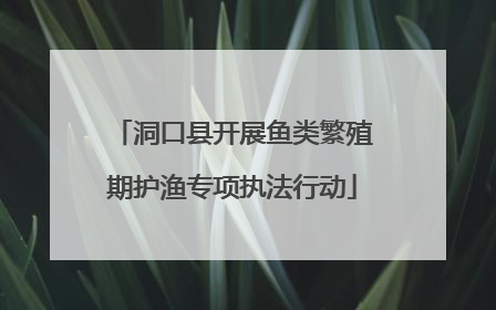 洞口县开展鱼类繁殖期护渔专项执法行动