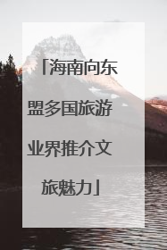 海南向东盟多国旅游业界推介文旅魅力
