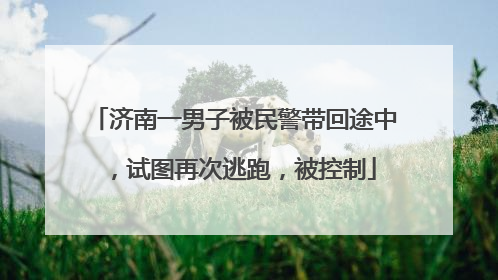 济南一男子被民警带回途中，试图再次逃跑，被控制