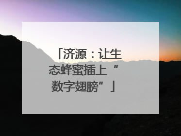 济源：让生态蜂蜜插上“数字翅膀”
