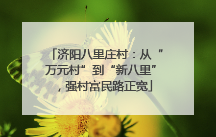济阳八里庄村：从“万元村”到“新八里”，强村富民路正宽